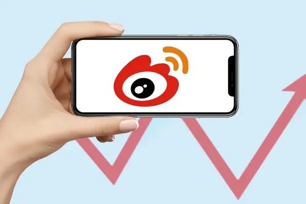 95后杭电女大学生玩手帐发微博赚钱月入8万